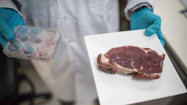 Der Startup-Gründer Didier Toubia hält eine Petrischale und ein Teller mit einem Steak in seinen Händen.