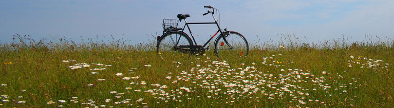 Ein Fahrrad für Herren im Feld mit Himmel.