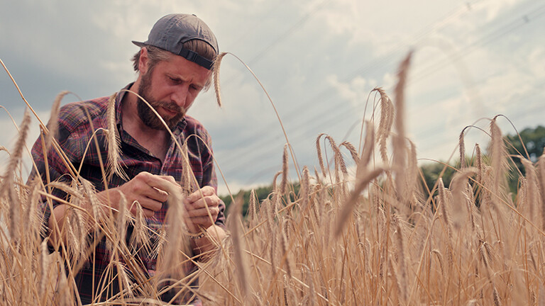 Szene aus der Serie "Farm Rebellion" von Disney+