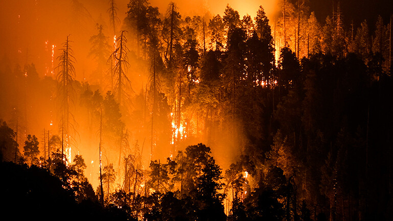 Ein Waldstück steht nachts in Flammen. Das Rot des Feuers setzt sich gegen das Schwarz der Bäume ab. Der Brand ist im US-Staat Kalifornien im August 2021 ausgebrochen.
