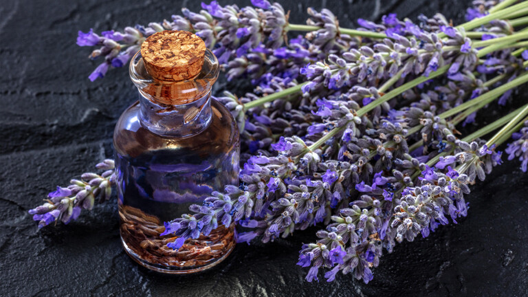 Lavendelöl und Lavendel sind im Bild zu sehen