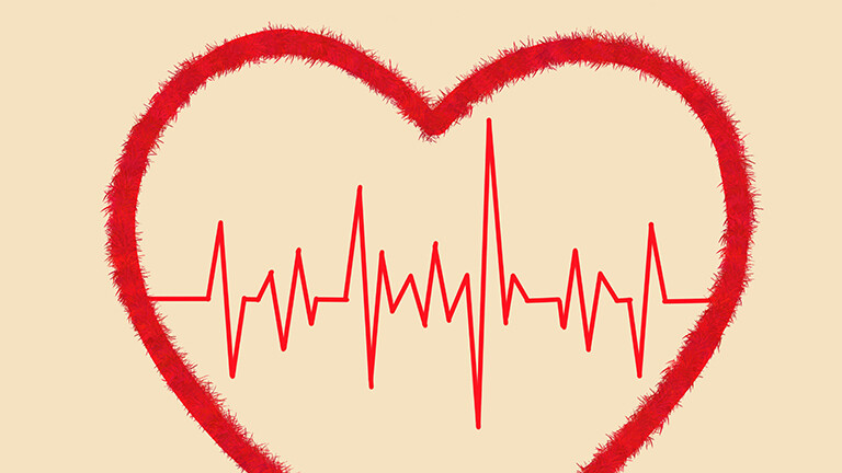 Eine Illustration zeigt die Herztöne eines EKGs umrandet von einer Herzform. Beides rot auf hellem Braun.