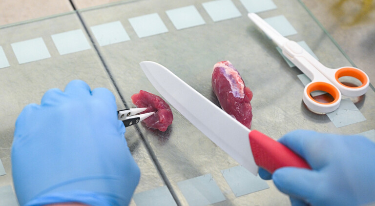 Künstliches Fleisch aus dem Labor