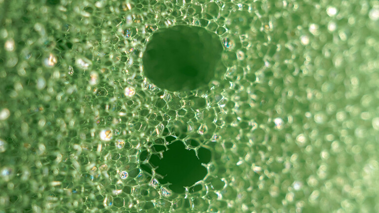 Grüner Schwamm Textur Hintergrund, hohe deatiled Foto