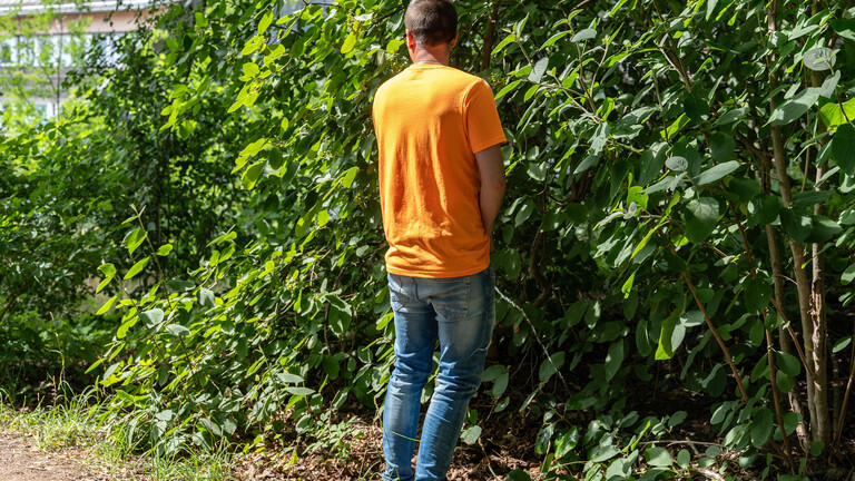 Ein Mann pinkelt in der Öffentlichkeit an ein Gebüsch.