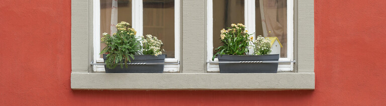 Fenster eines roten Hauses mit Blumen auf dem Fensterbrett