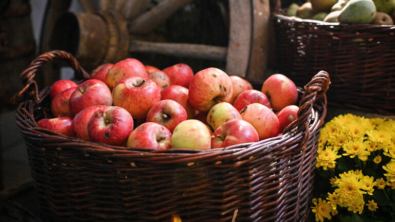 Äpfel im Korb