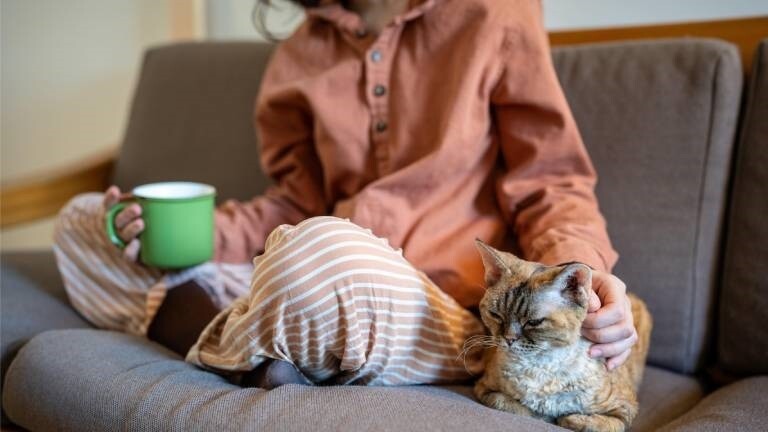 Eine Frau sitzt auf dem Sofa und streichelt eine Katze