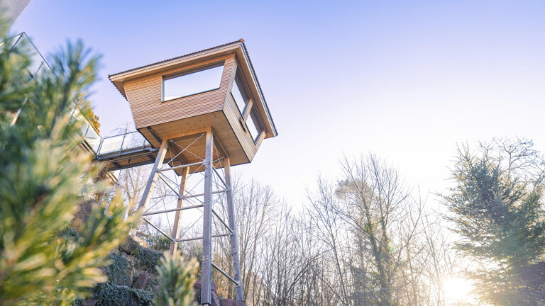 Baumhaus im Wald an Böschung auf Stelzen