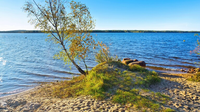 Blick vom Strand am Senftenberger See im Lausitzer Seenland auf den See vorbei an Sandstrand, Baum und Felsen auf den offenen See.