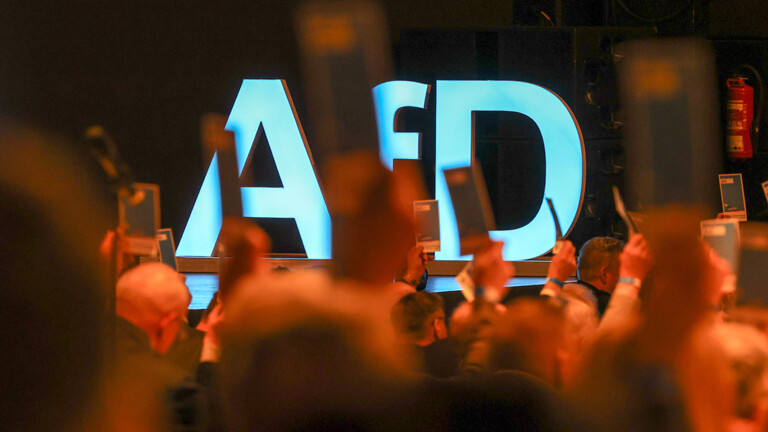 AfD Logo auf Parteitag