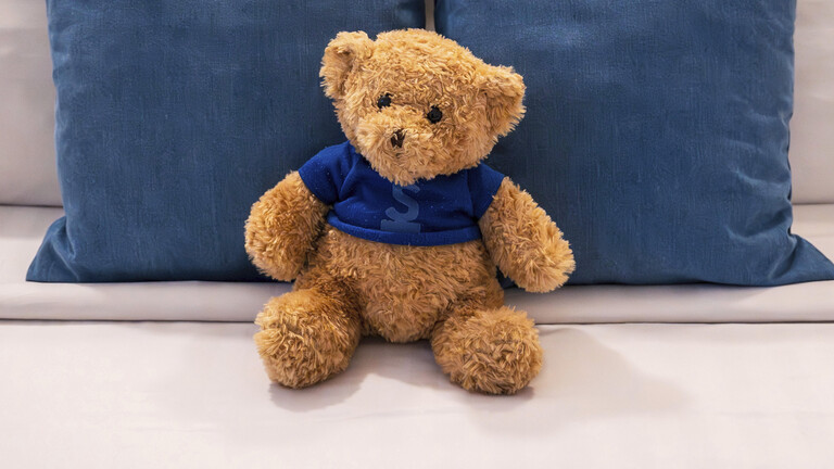 Stofftier Teddybär auf einem Sofa angelehnt an zwei Kissen.