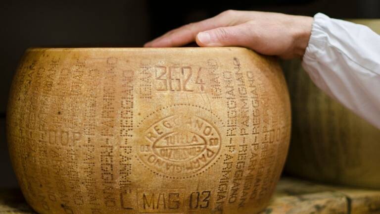 Eine Person legt die Hand auf einen Parmesanlaib