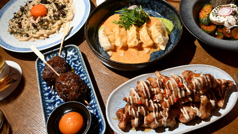 Ois Umami-Blumenkohl Karaage (vorne) ,Gurken-Kimchi (hinten rechts), Yakitori-Spieße, Tegyu (vorne links), Miso Carbonara (hinten links) und Gyoza (mittig)