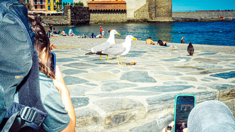 Zwei junge Menschen machen in einer Küstenstadt Fotos von einer Möwe mit ihren Smartphones