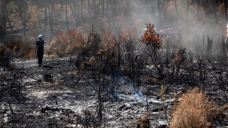 Verbrannter Wald nach dem Feuer in Saumos in Frankreich. Ein Feuerwehrmann geht durch den ehemaligen Dünenwald vorbei an verkohlten Bäumen und Büschen.