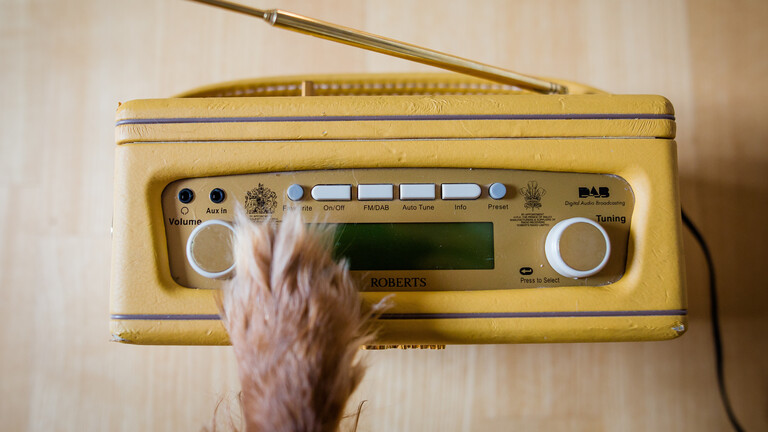 Eine hellbraune Hundepfote, die auf einem gelben Radiorekorder liegt