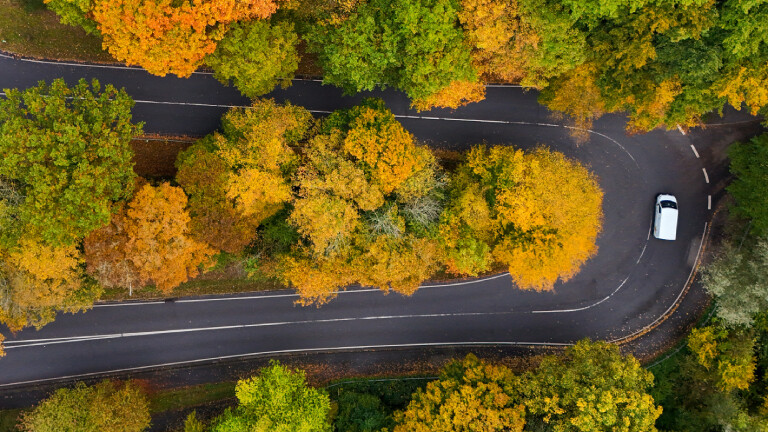 Ein Auto, eine Straße und ein Wald, durch den sie führt: Autoszene aus Odenthal in Nordrhein-Westfalen im Westen des Rheinisch-Bergischen-Kreises
