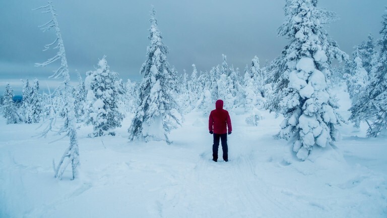 In einer schneebedeckten, kargen Landschaft steht ein Mensch in einer roten Winterjacke und schwarzen Hose gegenüber von Nadelbäumen. Die Person steht mit dem Rücken zur Kamera.