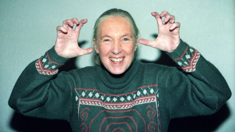 Die Verhaltensbiologin Jane Goodall posiert 1997