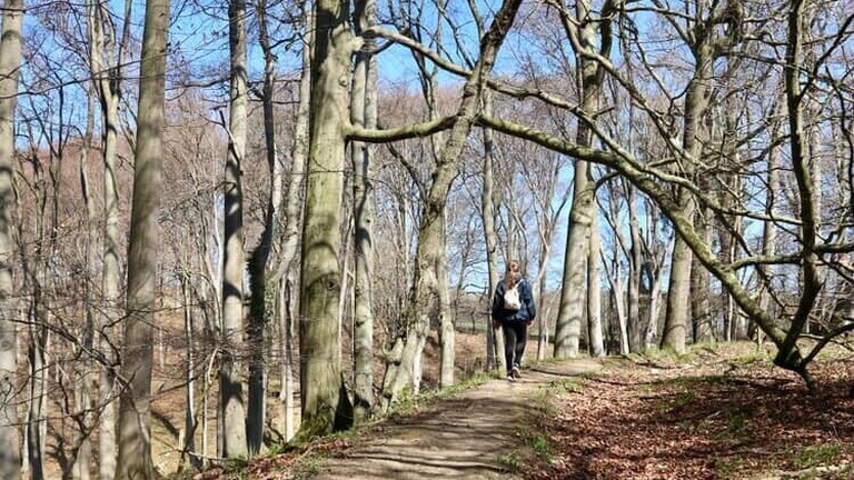 Eine Frau speziert auf einem Waldweg