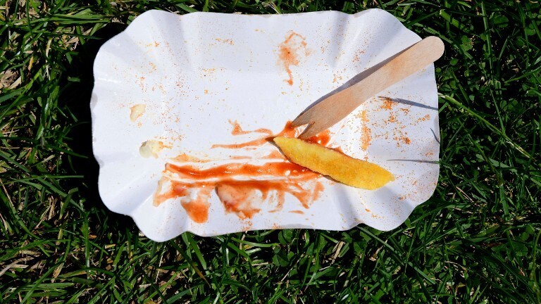 Auf einer Wiese liegt eine Pappschale, in der Pommes waren. Es ist nur noch eine Pommes übrig, zusammen mit Ketchup-Resten und einer kleinen Holzgabel.