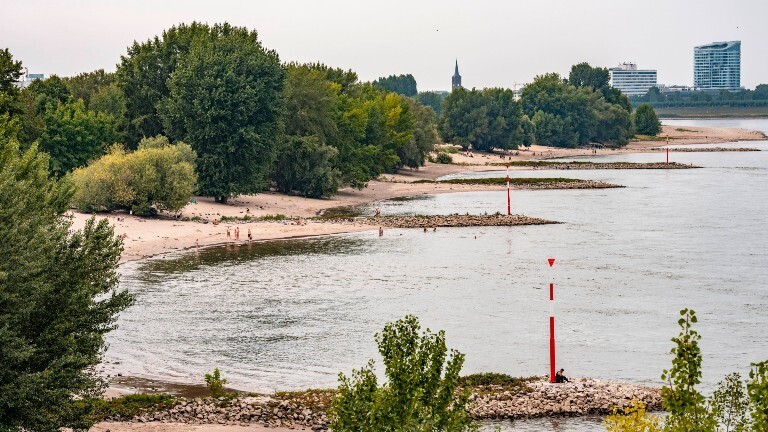 Entlang des Rheinufers in Düsseldorf befinden sich Bäume und Sandabschnitte.