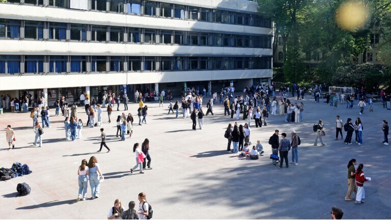 Auf einem Schulhof stehen Kinder und Jugendliche in unterschiedlichen Gruppen zusammen.