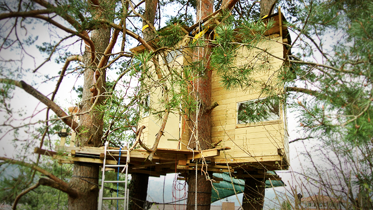 Ein Baumhaus