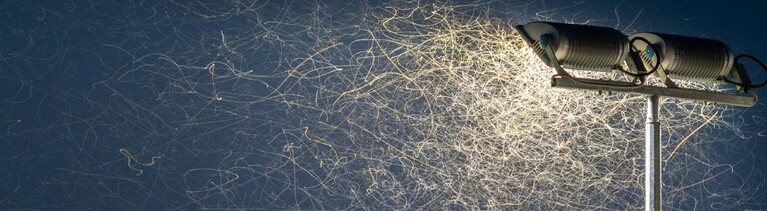 Eine Straßenlaterne bei Nacht, um die Insekten schwirren.