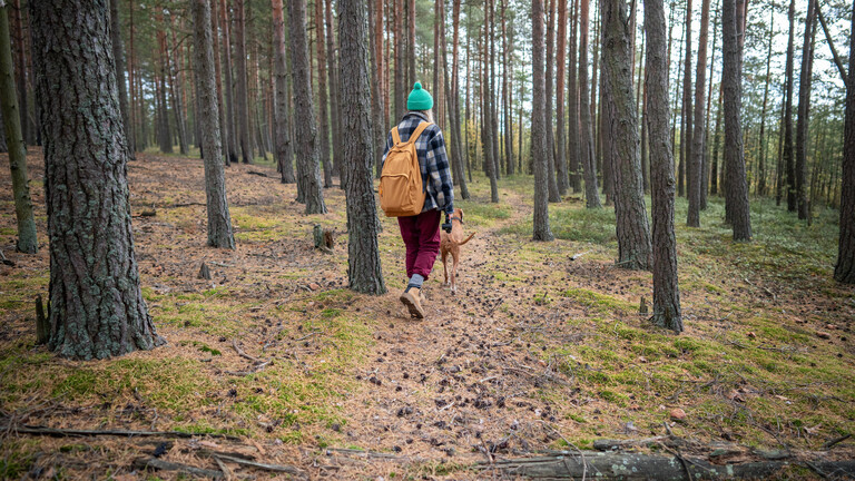 Foto einer jungen Frau mit Rucksack, die mit einem Hund an der Leine durch den herbstlichen Nadelwald läuft