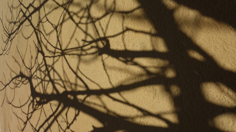 Sonnenschein und Schatten – ein Spiel aus hellem Licht und dunklen Schatten. Sonnenschein und Schatten, Helligkeit und Dunkelheit.
