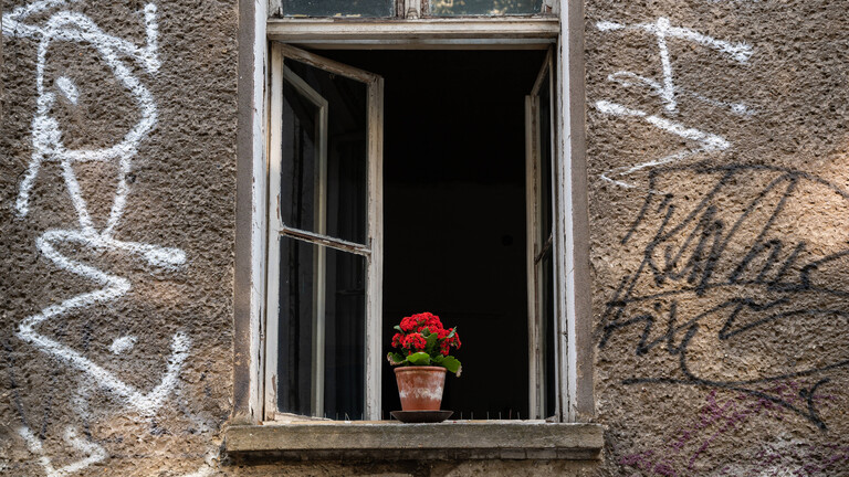 Eine rote Balkonpflanze steht auf dem Fenstersims vor einem geoeffnetem Fenster eines alten Wohnhauses im Ost-Berliner Ortsteil Prenzlauer Berg, dessen Hausfassade mit graffitiartigen Schmierereien ueberzogen ist.