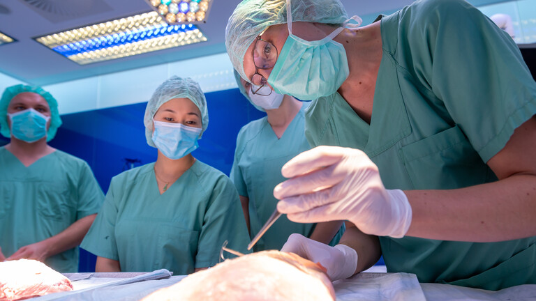 Medizinstudenten üben in einem OP-Saal das Zunähen von Operationswunden an einer Putenbrust.