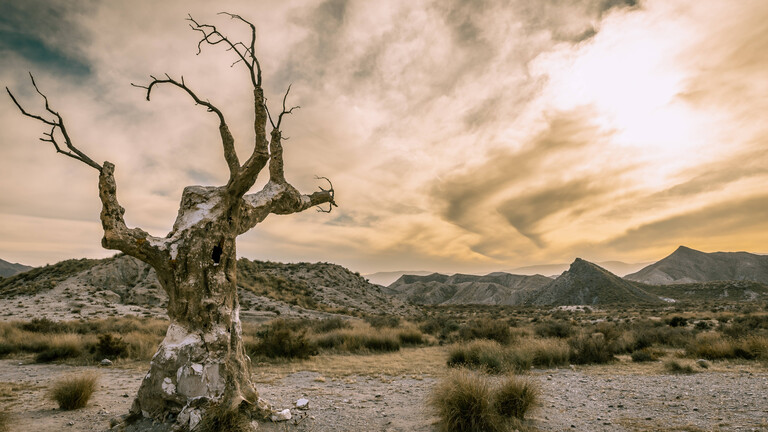 Tabernas-Wüste in Spaniens Almeria-Region