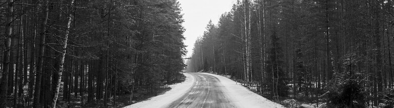 Eine verschneite Landstraße führt durch einen Wald.