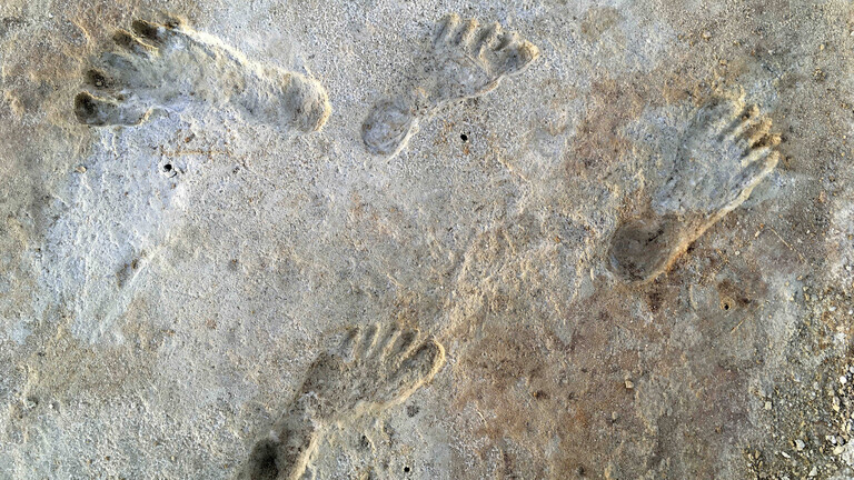 Versteinerte Fußspuren