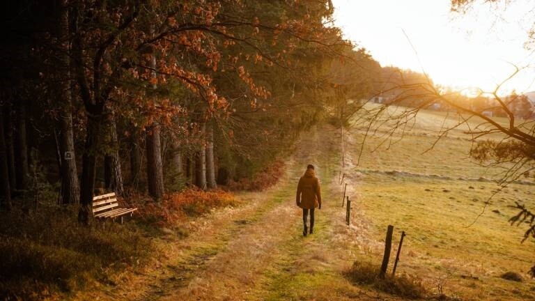 Eine Frau läuft im Abendlich an einem Wald entlang
