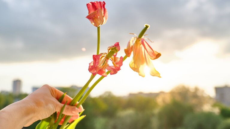 Eine Frau hält Blumen in der Hand