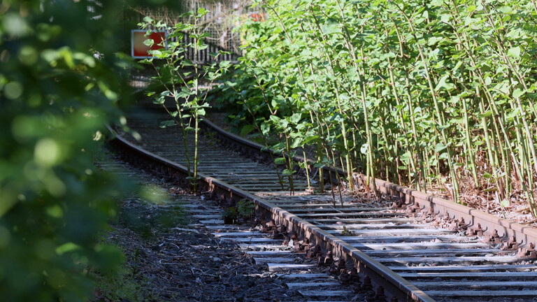 Symbolfoto zum Thema Bahn, Investitionsstau. Stillgelegte Bahngleise in Siegen.