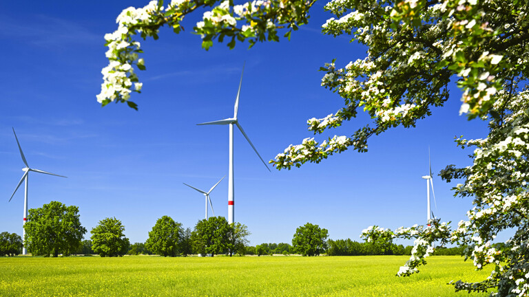 Windräder in den Vier- und Marschlanden, Hamburg, Deutschland