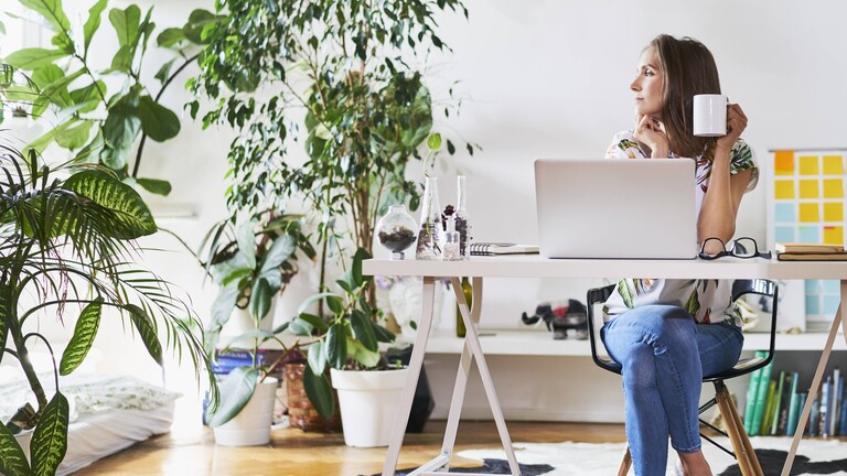 Pflanzen in einer Wohnung und eine Frau am Schreibtisch