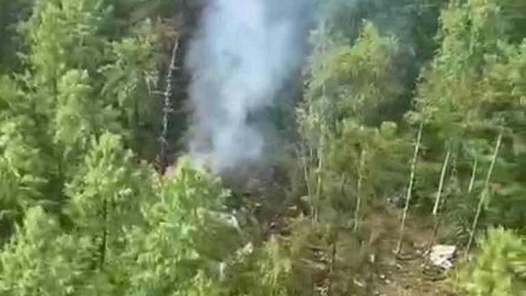 Rauchwolken steigen aus Waldgebiet auf, wo ein russisches Flugzeug (Antonov Typ An-24) abgestürzt ist (24.7.2025)