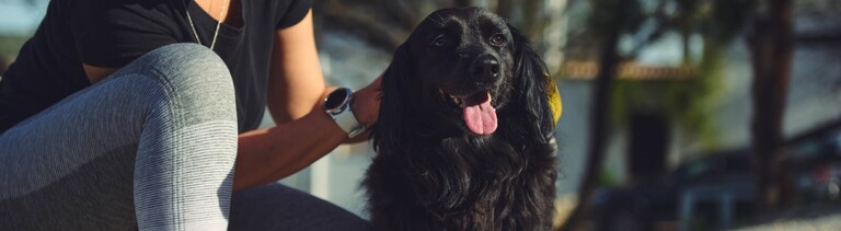 Eine junge Frau ist draußen spazieren und in einer Hocke. Sie streichelt einen Hund, der neben ihr steht.