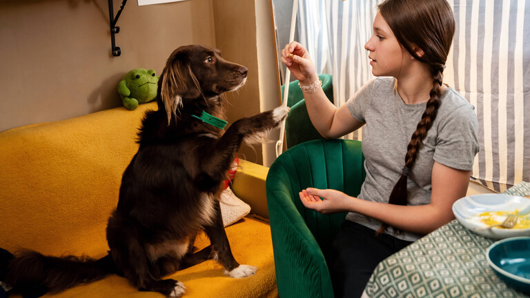 Eine Hundebesitzerin hebt den Arm, vor ihr sitzt ein Hund, der die Pfote hebt,.