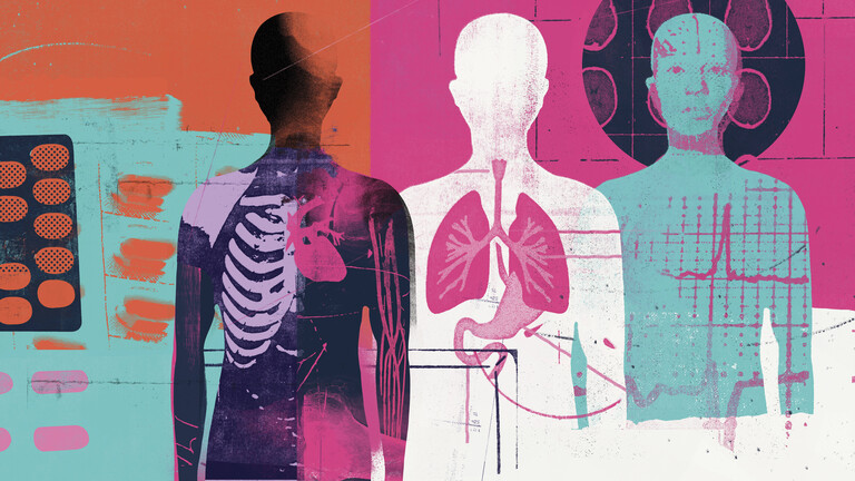 Medizinische Montage der menschlichen Anatomie