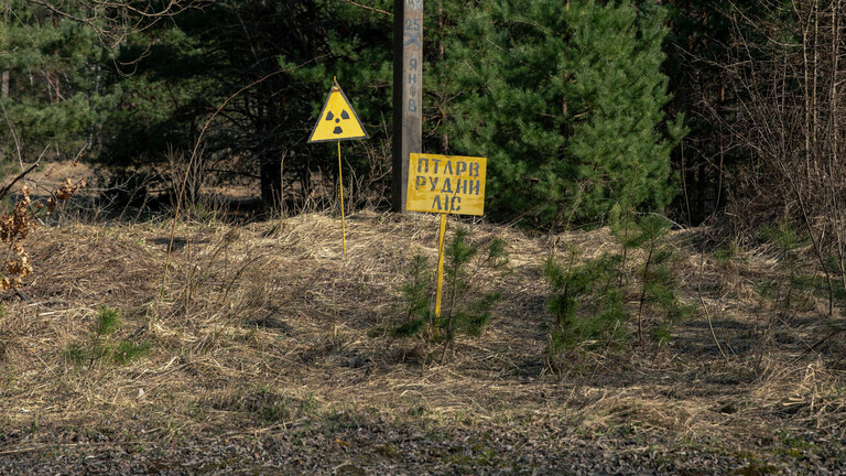 In einem Waldgebiet stehen Schilder, die vor Radioaktivität warnen. Sie stehen in der verlassenen Stadt Prypjat, in der die Arbeiter des Kernkraftwerks Tschernobyl ursprünglich lebten.