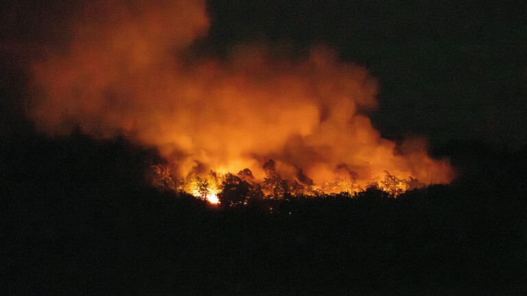 Foto des Waldbrands in Traisen im Kreis Bad Kreuznach im Juni 2026 bei Nacht