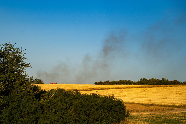 Waldbrand bedroht Acker und Vogelschutzgehölz: Am 09.07.2026 wurden die Feuerwehren des Hintertaunus gegen 19:54 Uhr zu einem Waldbrand in Usingen gerufen