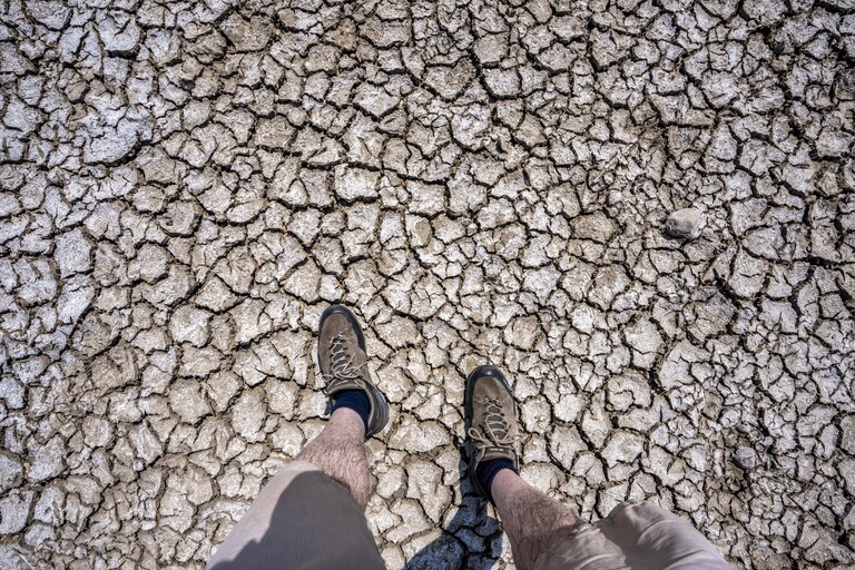 Vertrocknetes Flussbett, brüchige Schollen, extremes Niedrigwasser, Rheinpegel bei 41 cm, Tendenz fallend, Rheinufer bei Düsseldorf